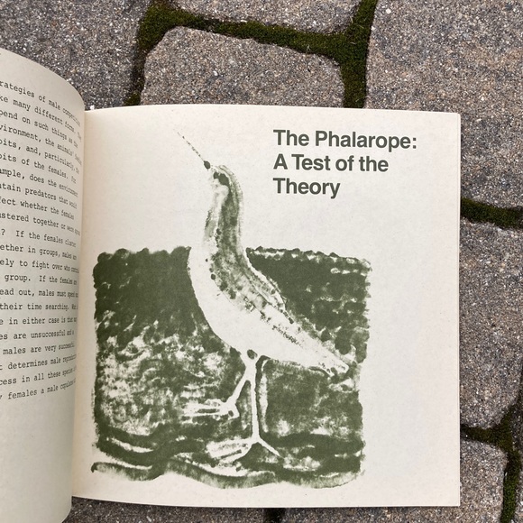 1971 Male Female Diffences in Animals Nature Education Development Center Book - Picture 7 of 14